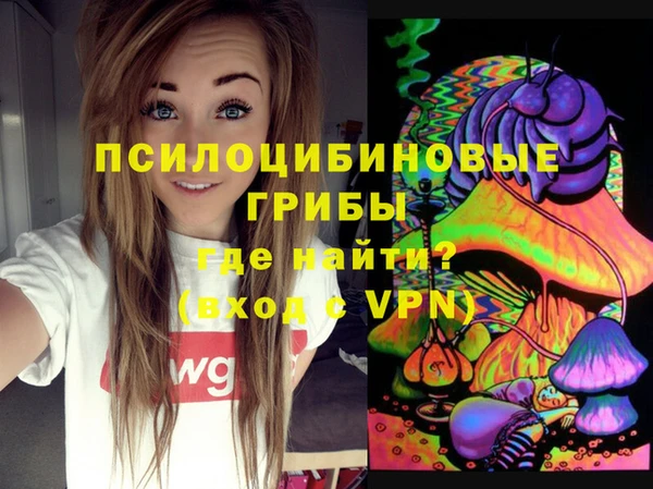 ГАЛЛЮЦИНОГЕННЫЕ ГРИБЫ Наволоки