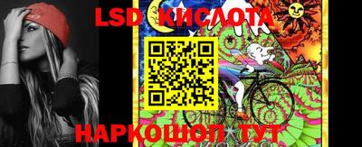 стафф Бийск