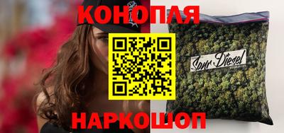 стаф Берёзовский