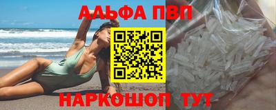 стаф Берёзовский