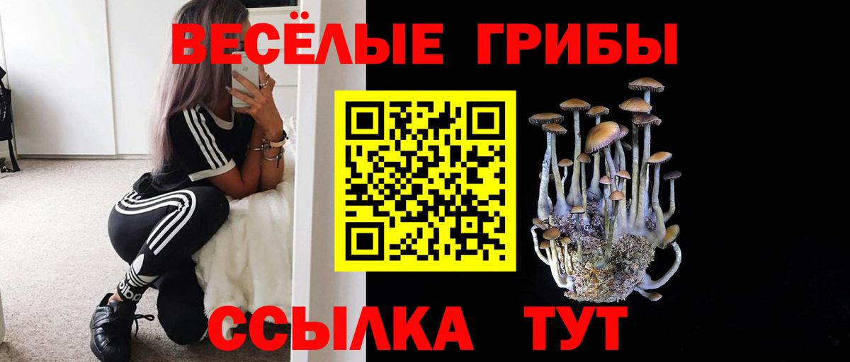 Псилоцибиновые грибы MAGIC MUSHROOMS  как найти закладки  Лангепас  Вход с VPN 